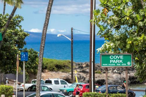 Island Surf #502