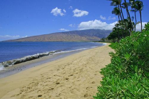 Hotel Kihei Beach #207 By Ali'i Resorts