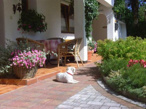 Hostal Landhaus Doris