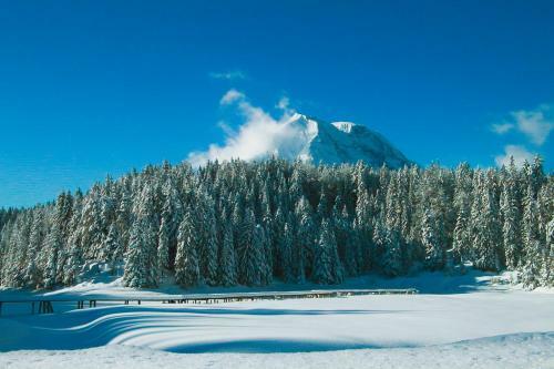 Hotel Hochland