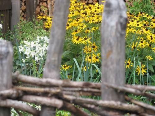 Bed & Breakfast Boderhof