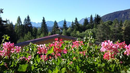 Apartamento Haus Ahrnspitze