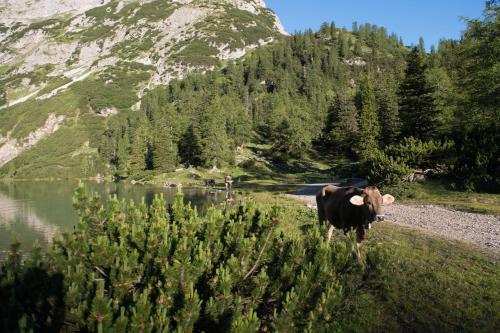 Hostal Pension Margret