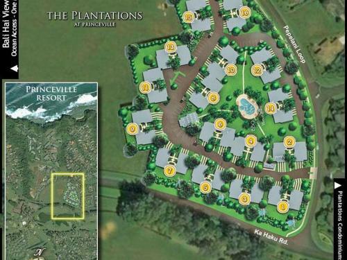 Plantations #1122