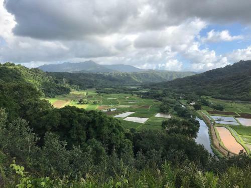 Punahele Home