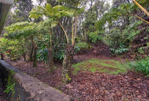 Aloha Ohia Hale Home