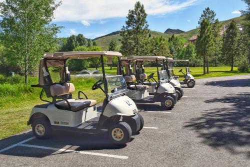 Fairway Nine 4315