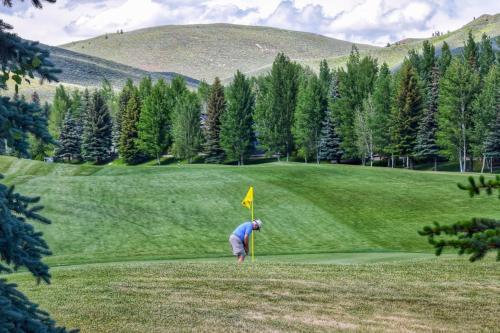 Fairway Nine 4323