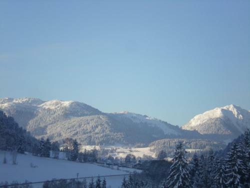 Hostal Pension Anderla