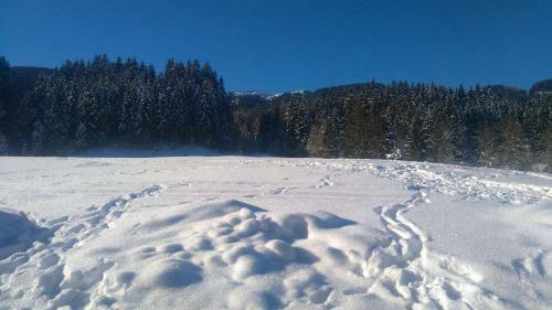 Hostal Pension Schwaighof