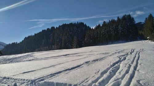 Hostal Pension Schwaighof