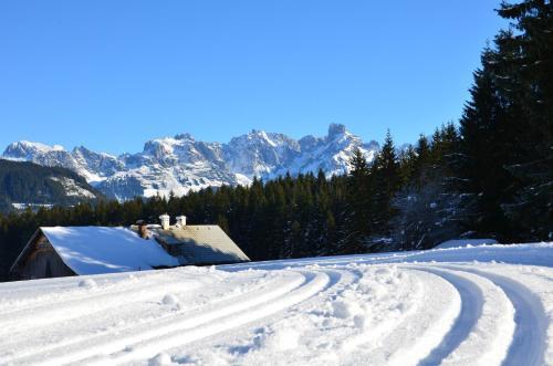 Apartment Tennengebirge