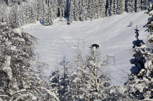 Apartment Tennengebirge