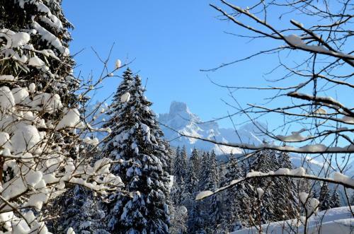 Apartment Tennengebirge
