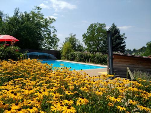 Hotel Domittner