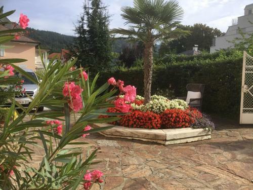 Hotel Villa Auguste