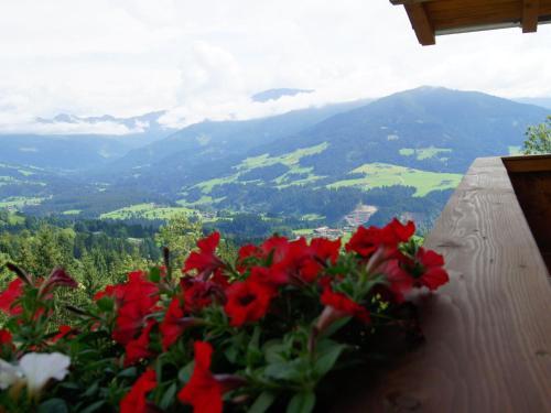 Holiday Home Hohe Salve Hopfgarten
