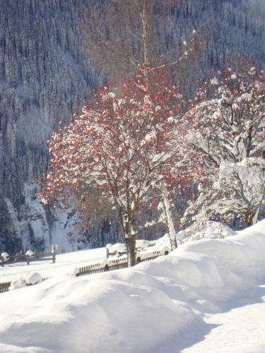 Hostal G�stehaus Obererlacher
