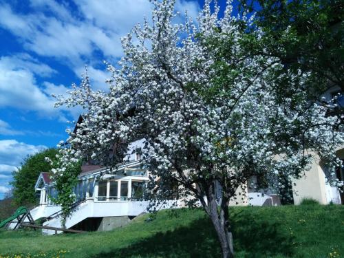 Apartamento Ferienwohnungen Fiala-k�fer