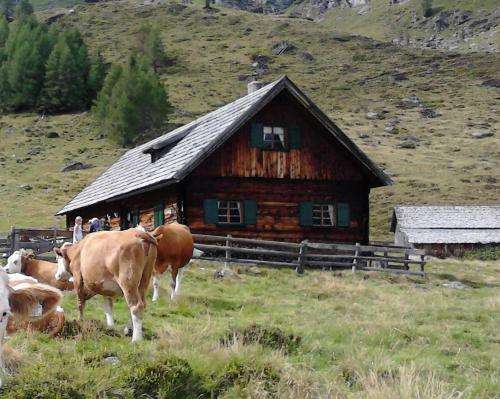 Apartamento Karnerhof