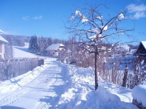 Apartamento Karnerhof