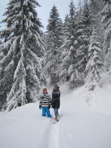 Alpenapart Walch