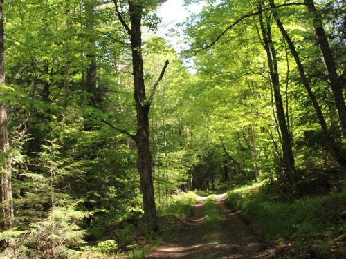Tentrr - Berkshire Magic Woods