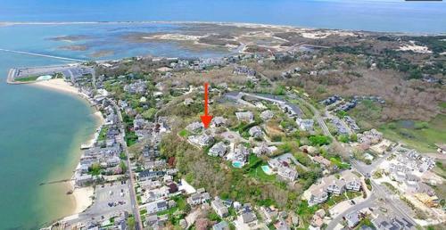 #128 - Bird's Eye View