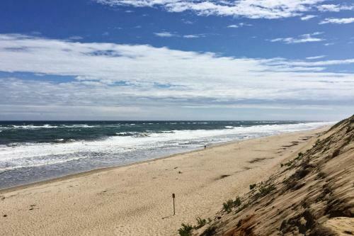 Stylish Wellfleet Home With Patio On 2 Private Acres!