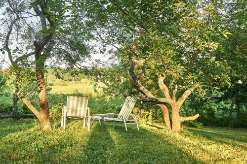 Stylish Wellfleet Home With Patio On 2 Private Acres!