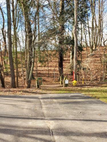 Wonderful Log Cabin Near Private Beach And Lake Access