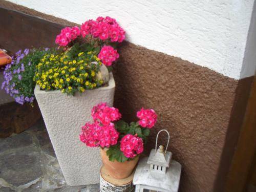 Hostal Haus Brigitte