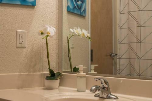 Apartamento 1 Br Apt Near Downtown With Laundry By Frontdesk