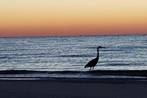 Creola Beach Cottage