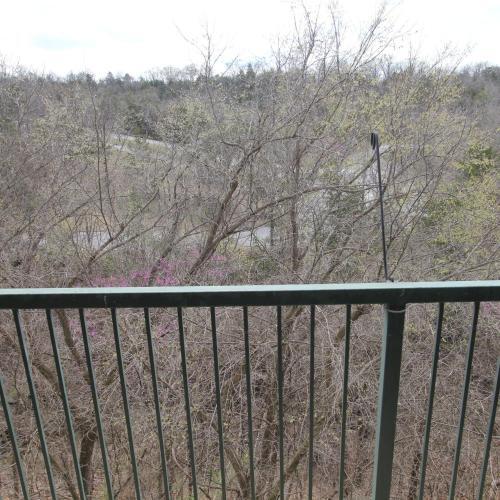 Apartamento Treetop Haven Condo