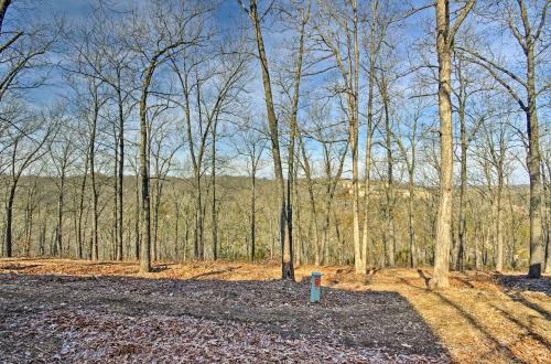 Rustic Branson Cabin-mins To Silver Dollar City!