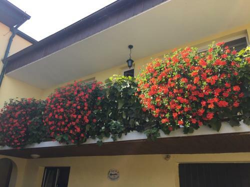 Hostal Pension Peterhof