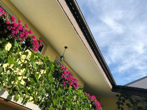 Hostal Pension Peterhof