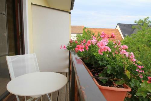 Hostal G�stehaus Elfriede