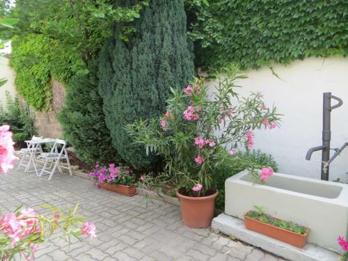 Hostal G�stehaus Elfriede