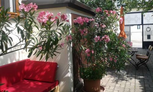 Hostal G�stehaus Elfriede
