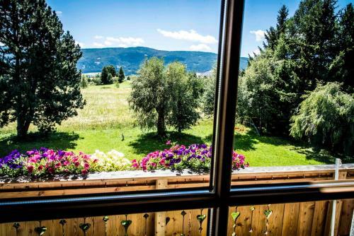 Apartamento G�stehaus Prodinger