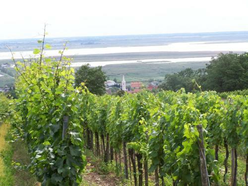 Hostal Gartenpension Fischl