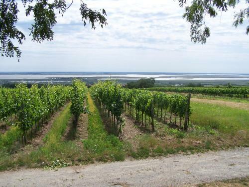 Hostal Gartenpension Fischl
