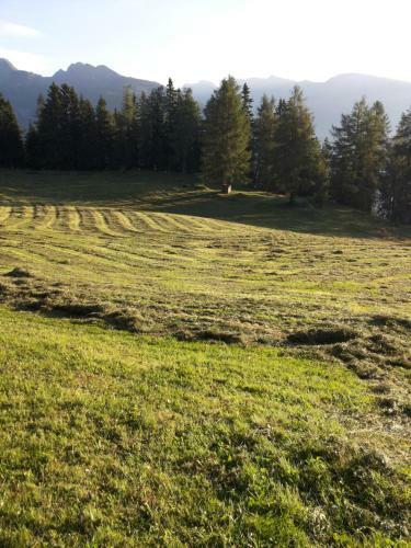 Apartamento Brandst�ttergut