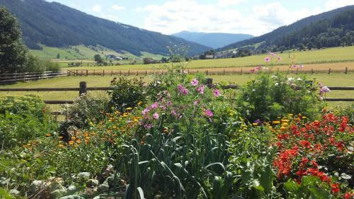 Apartamento Ferienwohnungen Holzer