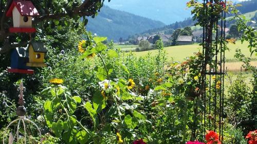Apartamento Ferienwohnungen Holzer