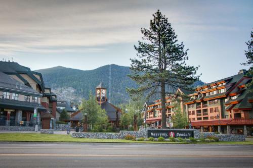 Tahoe Treetop Escape