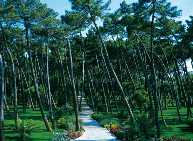 Hotel Green Park Resort