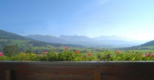 Hostal G�stehaus Trattner